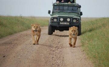 Serengeti,_Tanzania_